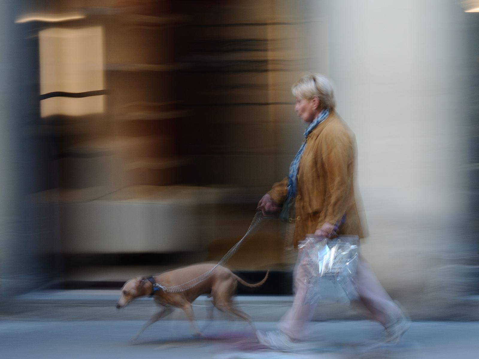 Passante con cane ripreso in movimento